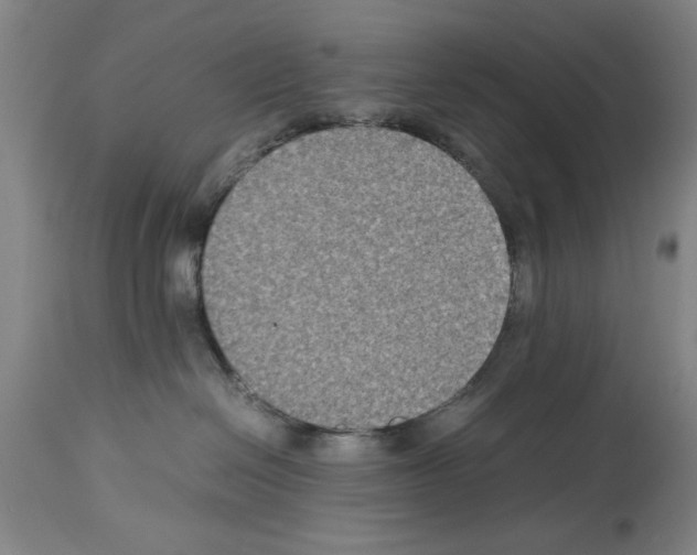 X0000113950286200911061310