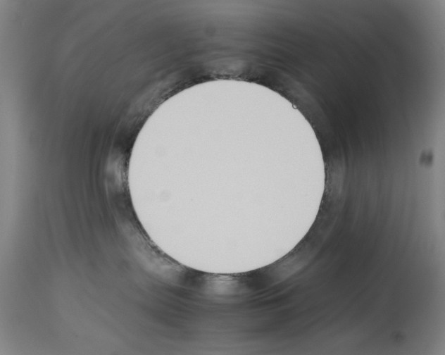 X0000113950287200911061310