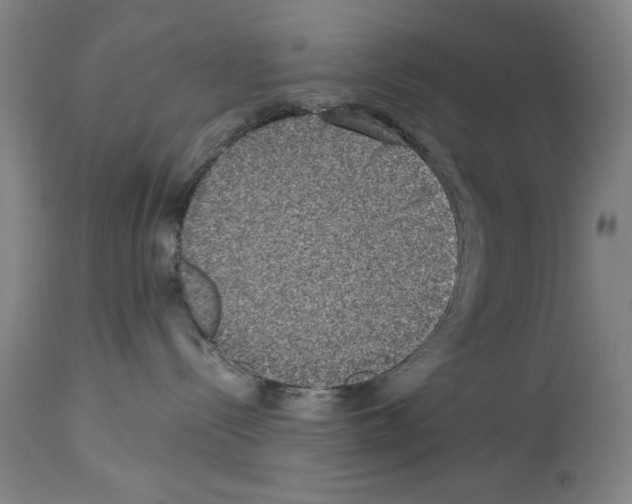 X0000113950288200911061310