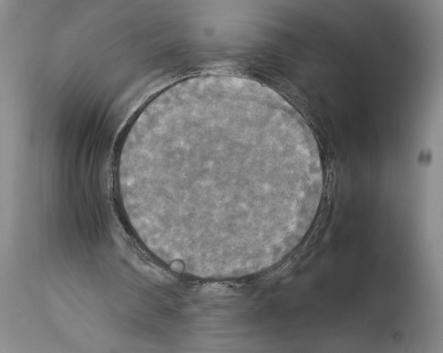 X0000113950290200911061310