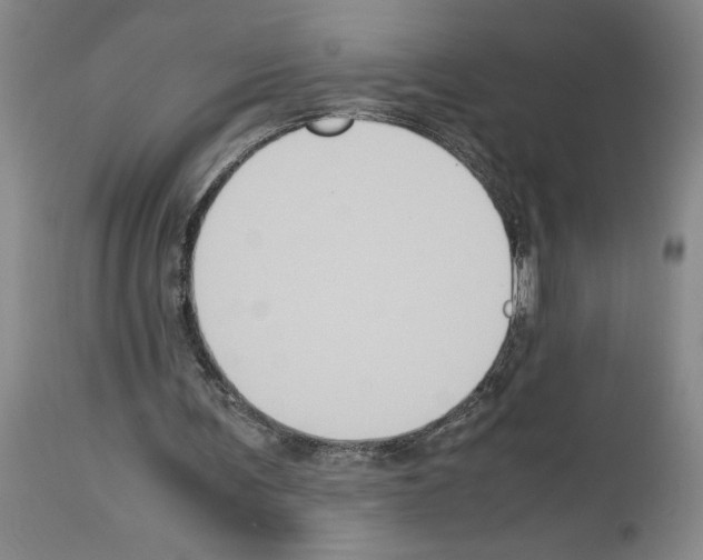 X0000113950291200911061310