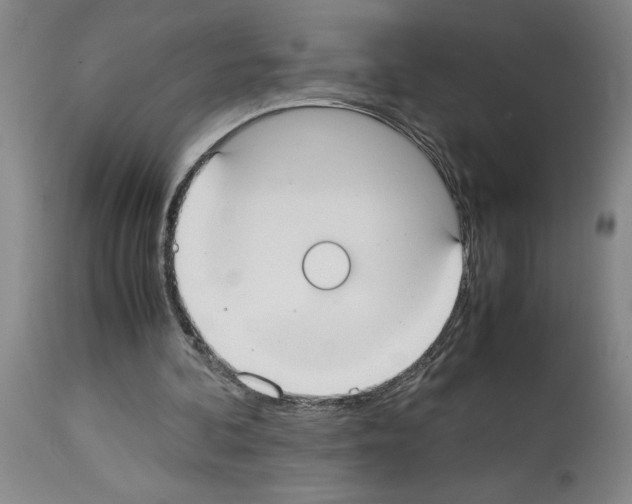 X0000113950292200911061310