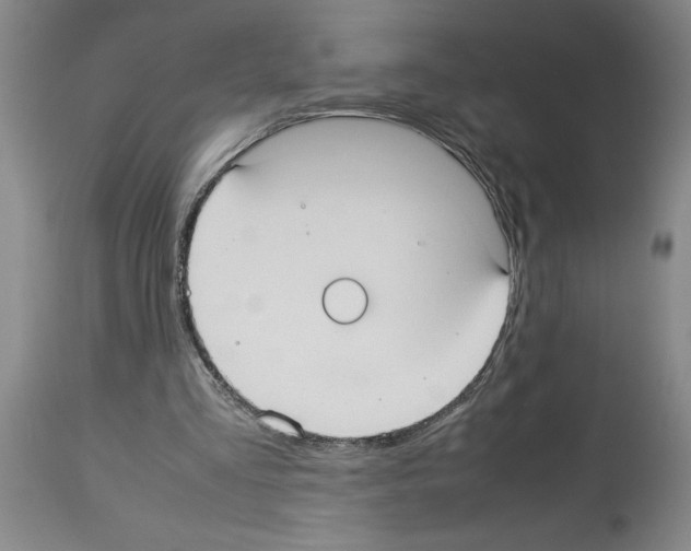 X0000113950293200911061310