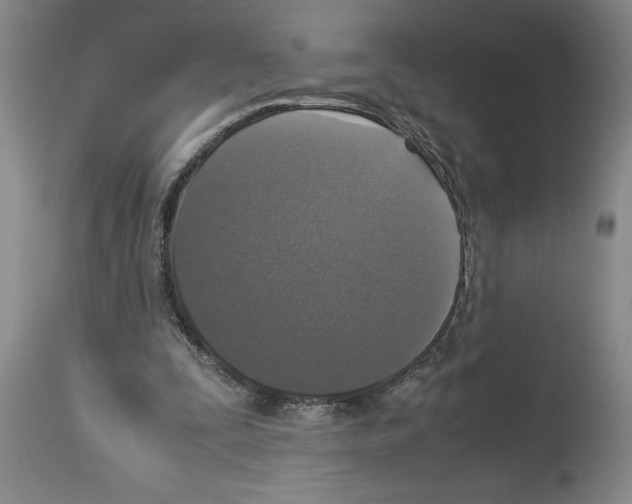 X0000113950295200911061310