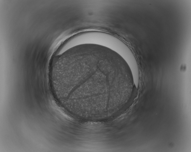 X0000113950296200911061310