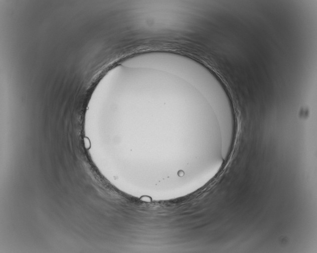 X0000113950297200911061309
