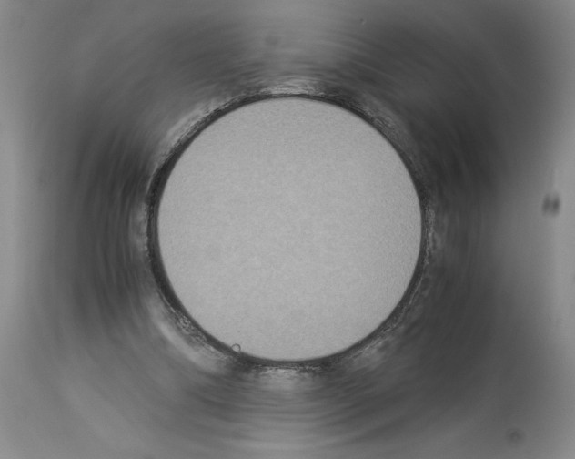 X0000113950298200911061309