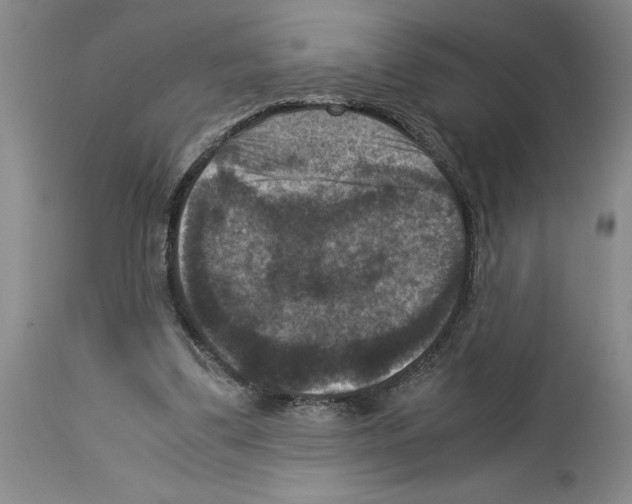 X0000113950299200911061309