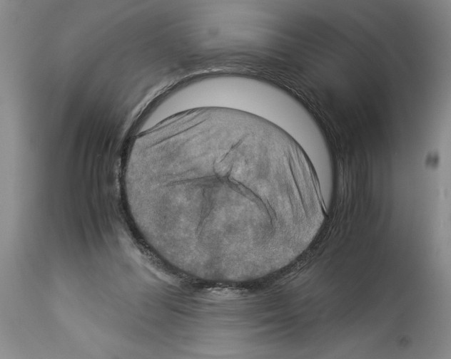 X0000113950300200911061309