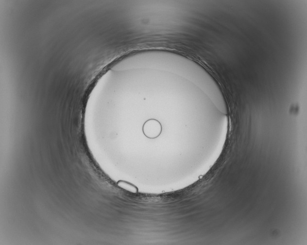 X0000113950301200911061309