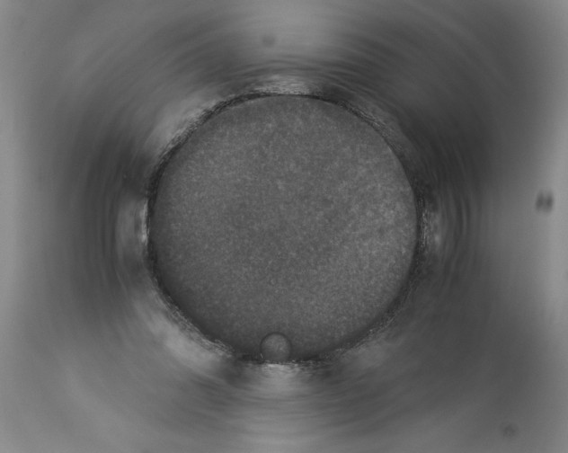 X0000113950302200911061309