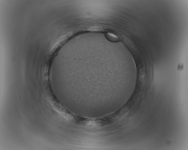 X0000113950303200911061309