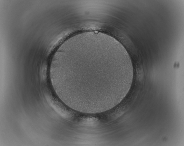 X0000113950304200911061309