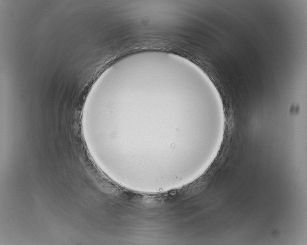 X0000113950305200911061309