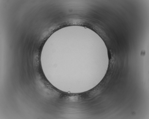 X0000113950306200911061309
