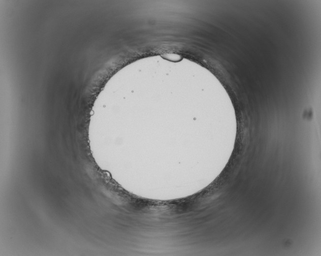 X0000113950307200911061309
