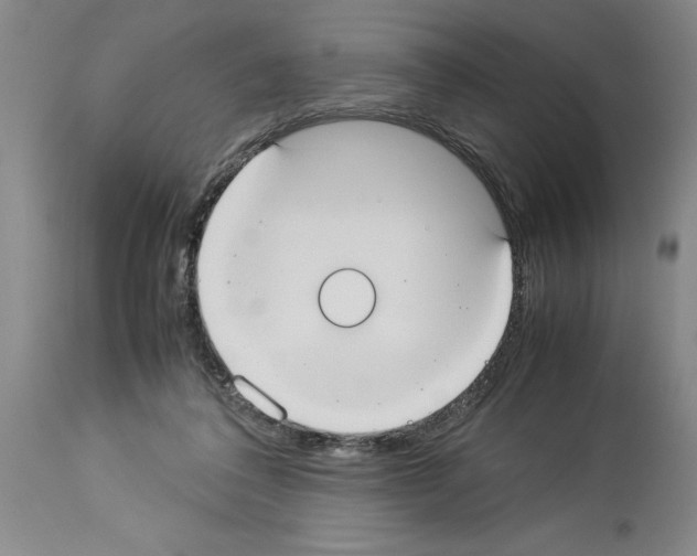 X0000113950308200911061309