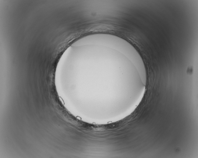 X0000113950309200911061309