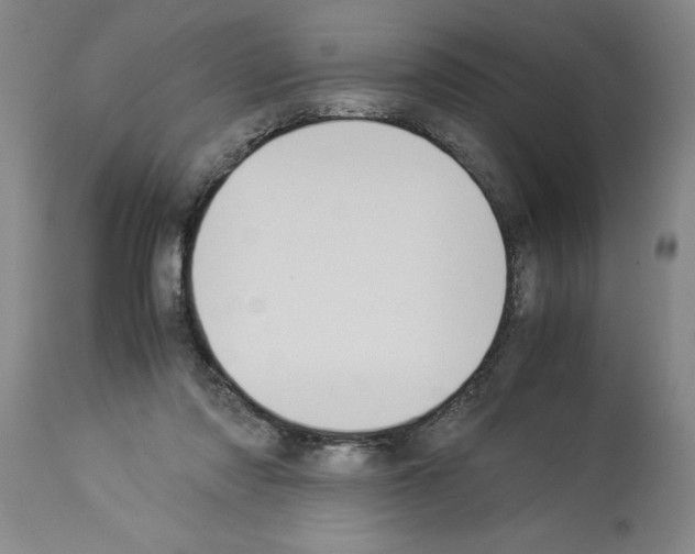 X0000113950310200911061309