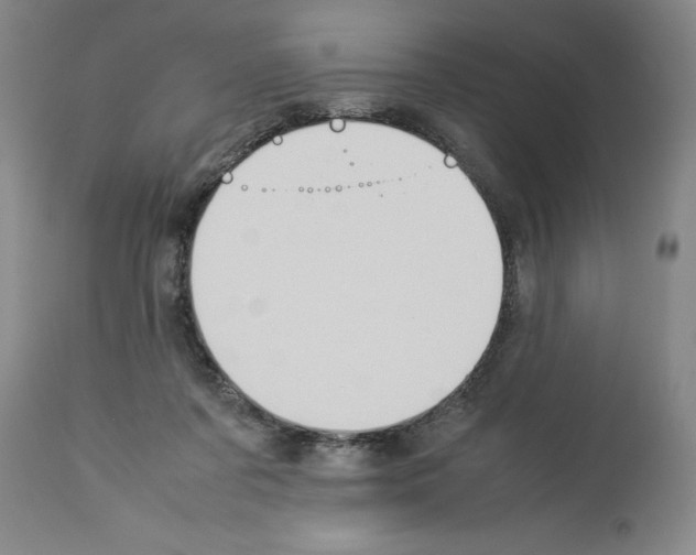 X0000113950311200911061309