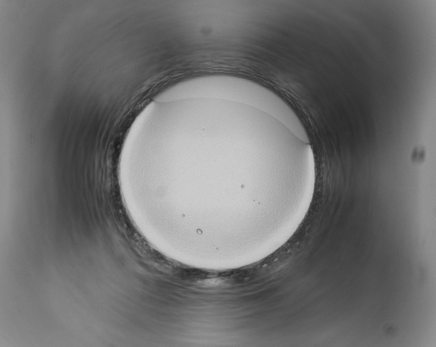 X0000113950312200911061309