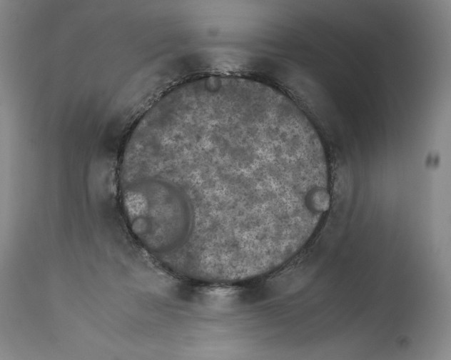 X0000113950313200911061309