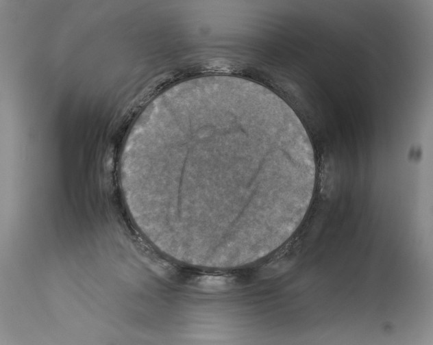 X0000113950314200911061309
