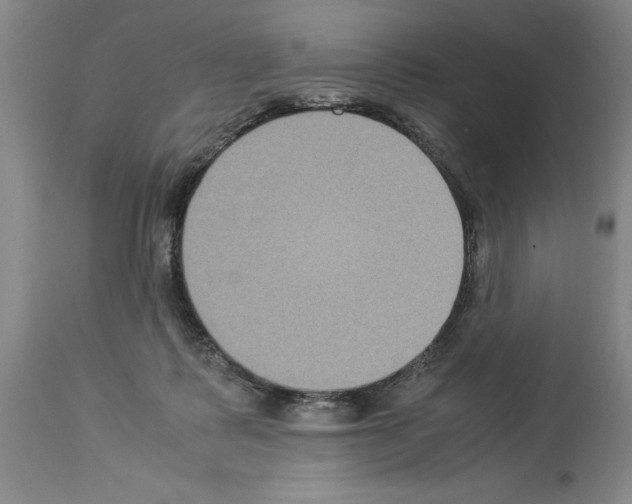 X0000113950315200911061309