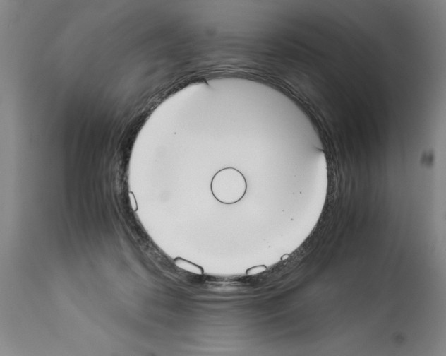 X0000113950316200911061309