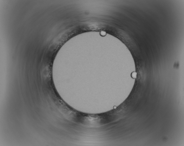 X0000113950317200911061309
