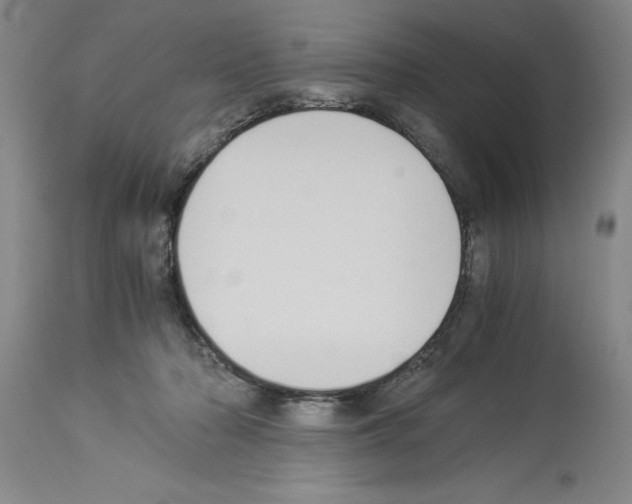 X0000113950318200911061309