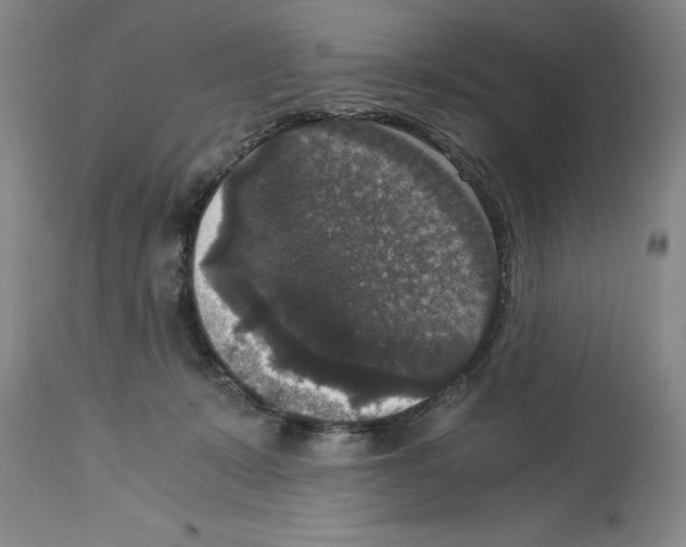 X0000113950319200911061309
