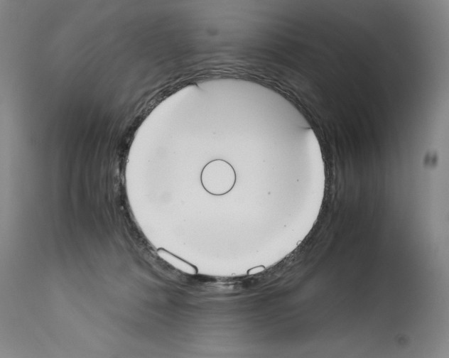 X0000113950320200911061309