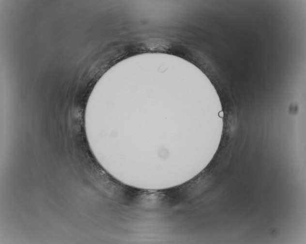 X0000113950321200911061309
