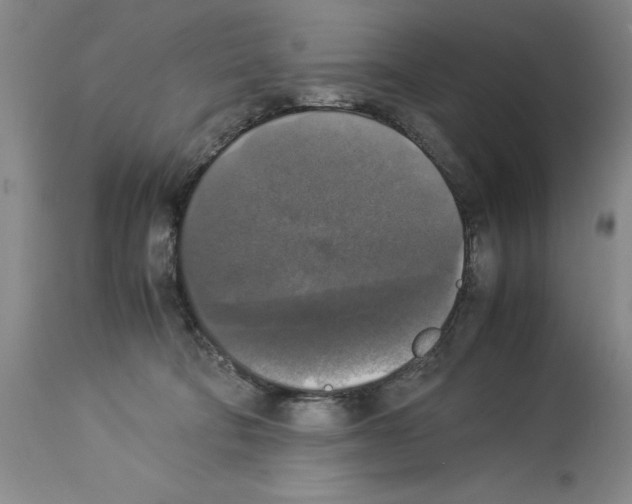 X0000113950322200911061309