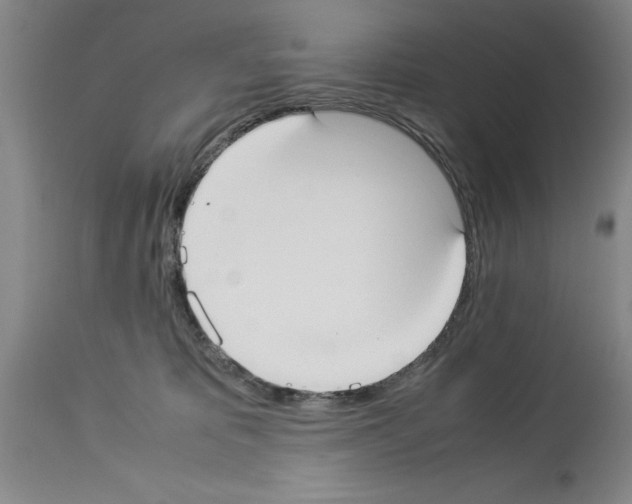 X0000113950325200911061309