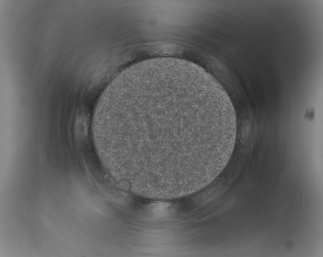 X0000113950326200911061309