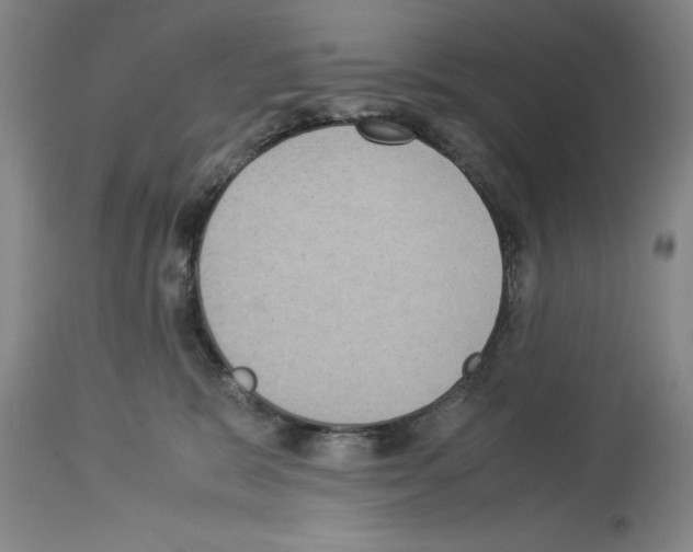 X0000113950327200911061309