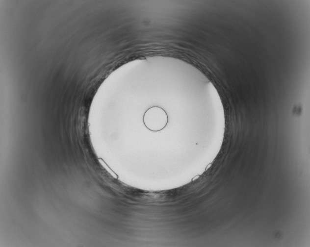 X0000113950328200911061309