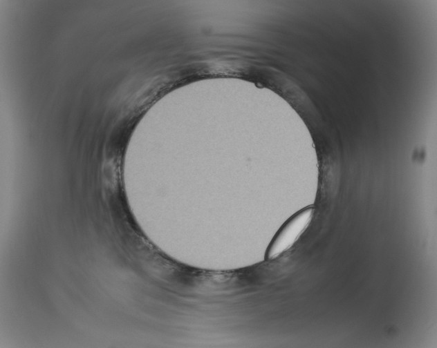 X0000113950329200911061309