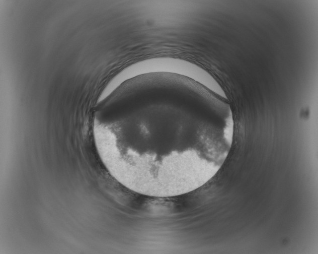 X0000113950331200911061309