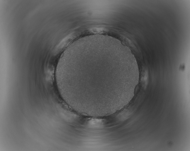 X0000113950332200911061309