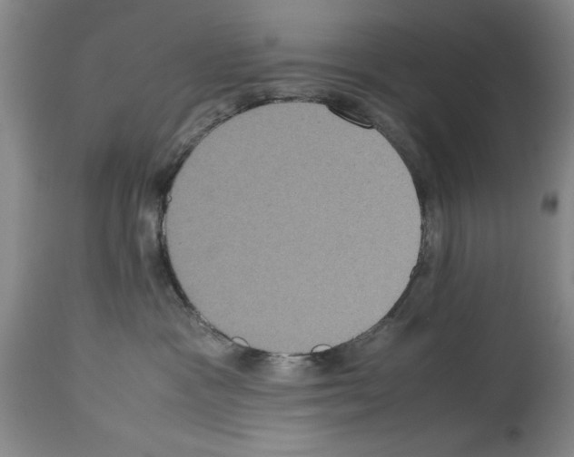 X0000113950333200911061309