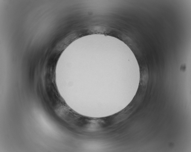 X0000113950334200911061309