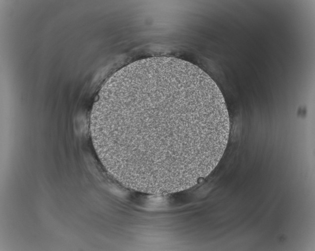 X0000113950335200911061309