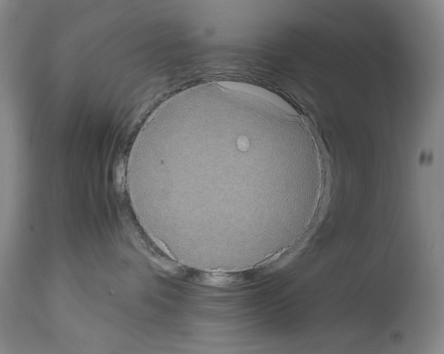 X0000113950336200911061309