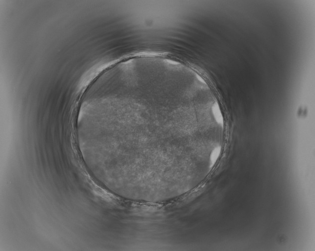 X0000113950337200911061308