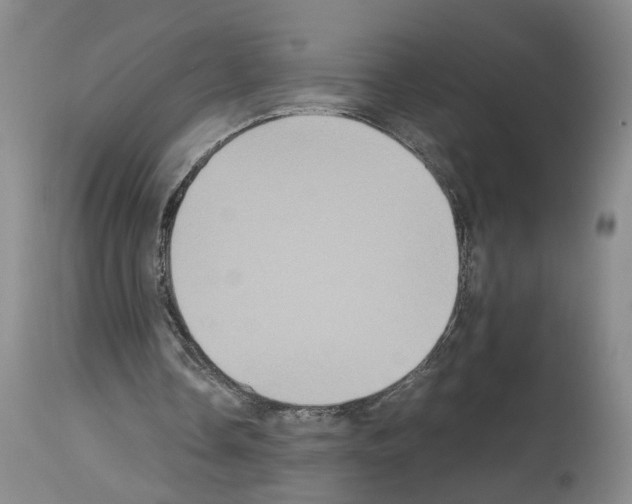 X0000113950338200911061308