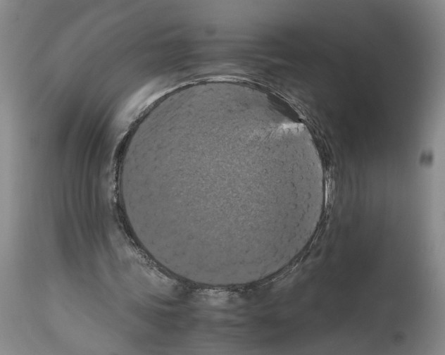 X0000113950339200911061308