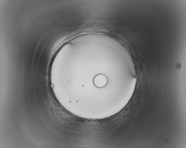 X0000113950340200911061308